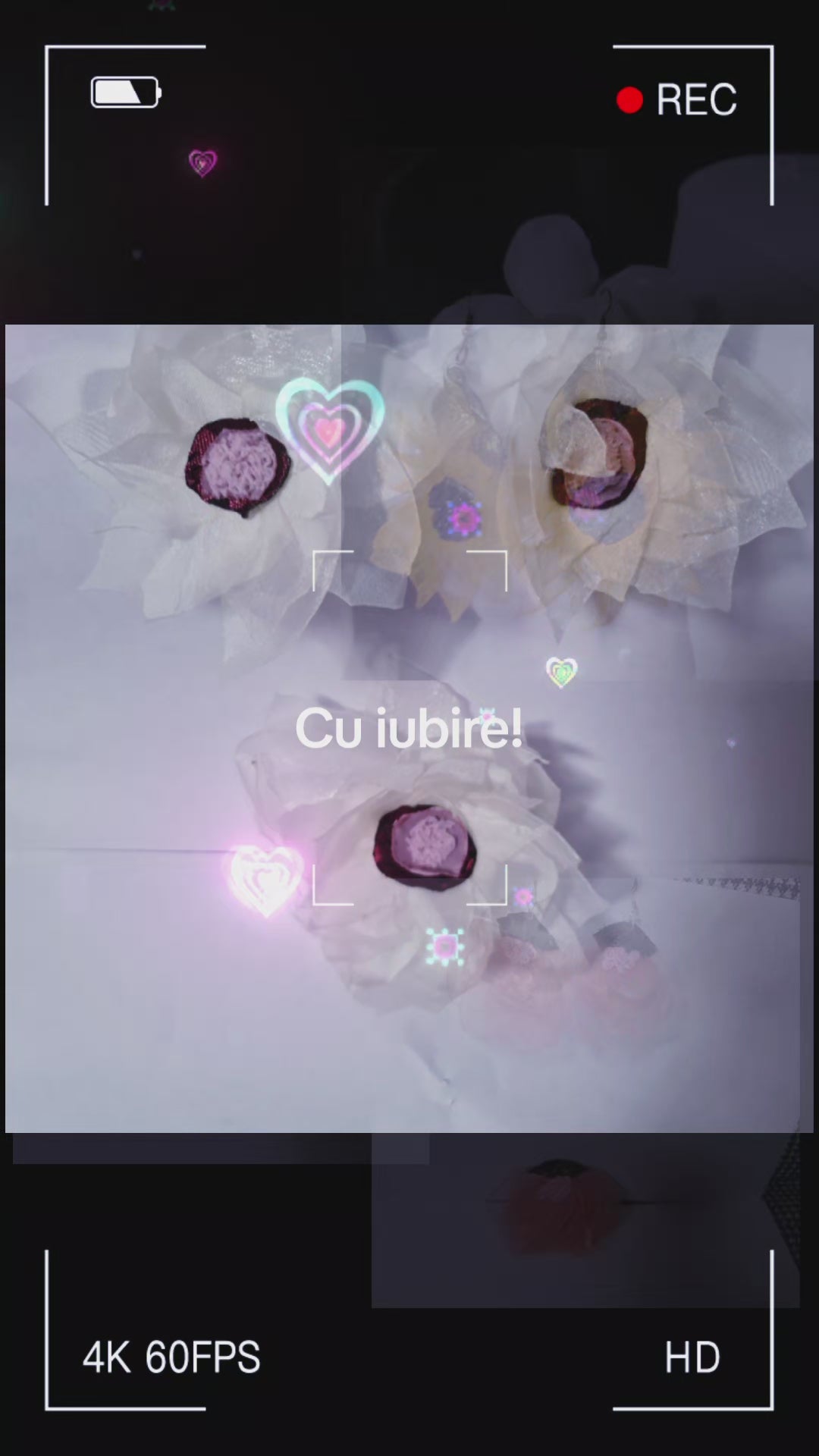 Set nuferi